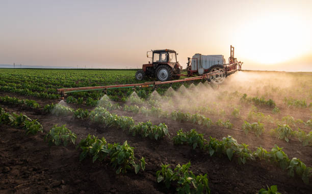 Professional Pest Control in Horn Lake, MS